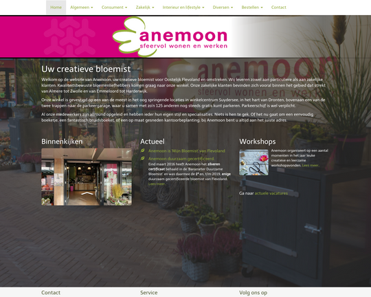 Anemoon Logo